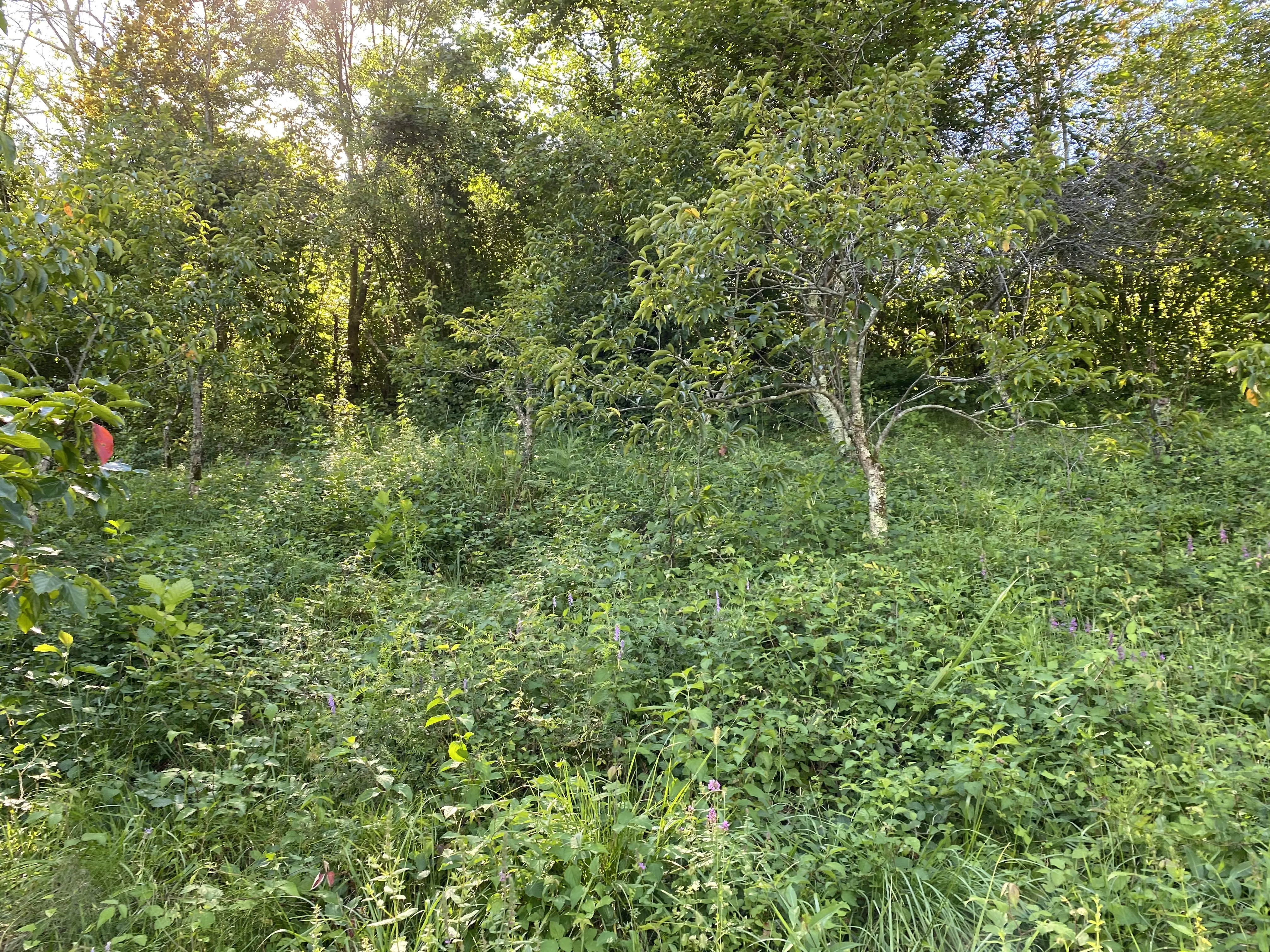 Продам участок с видом на горы