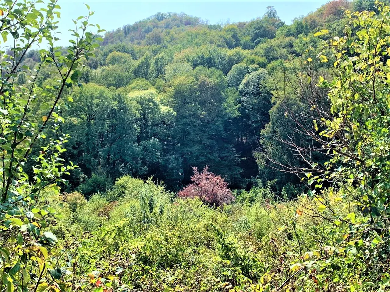 Продам земельный участок в Сергей поле