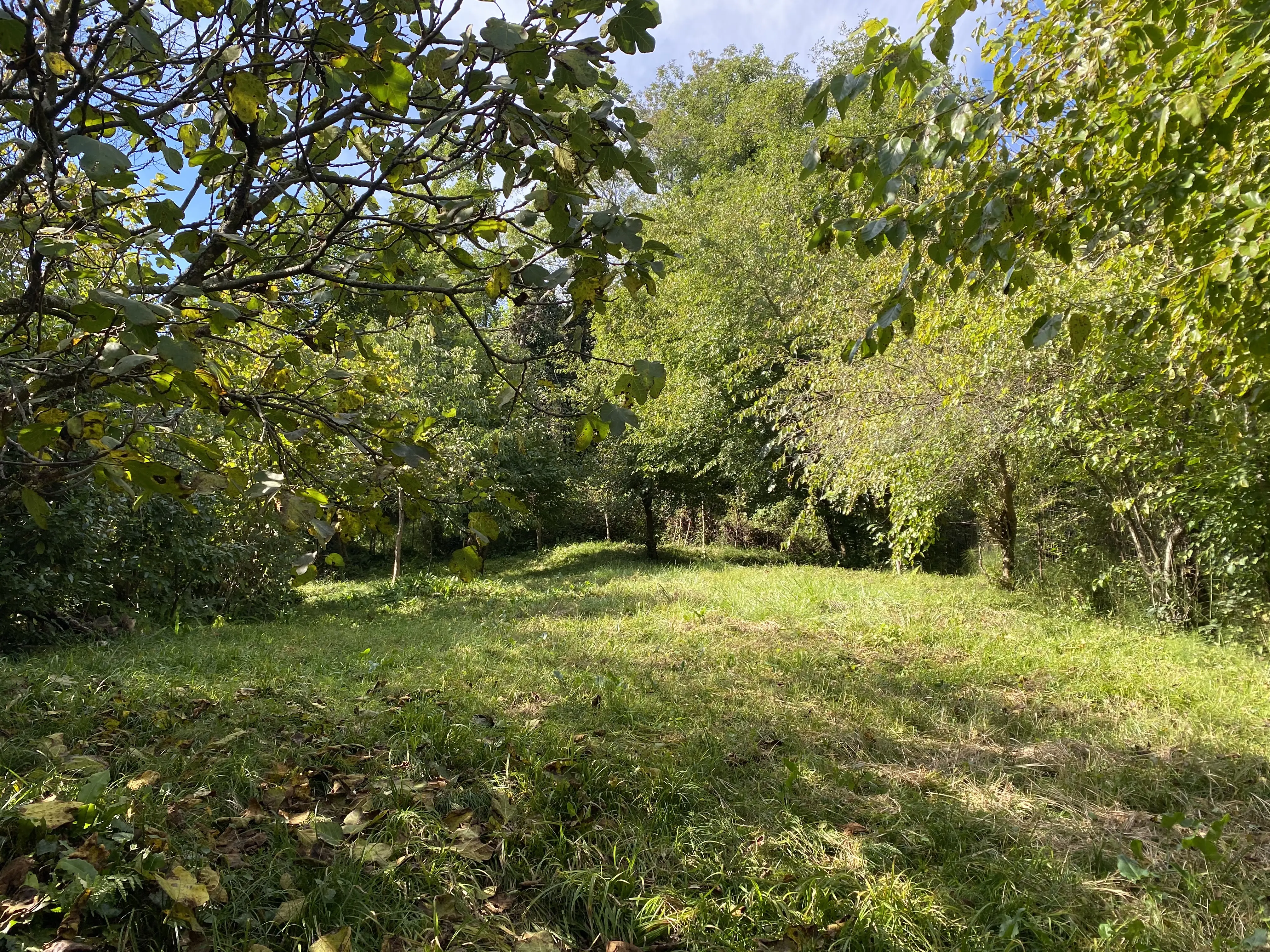 Земля под коттеджи в Мацеста