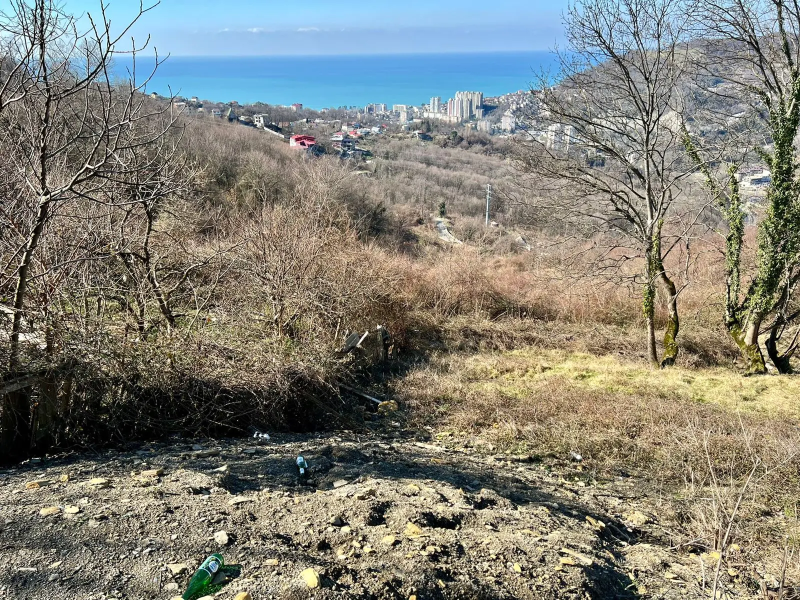 Идеальные видовые характеристики