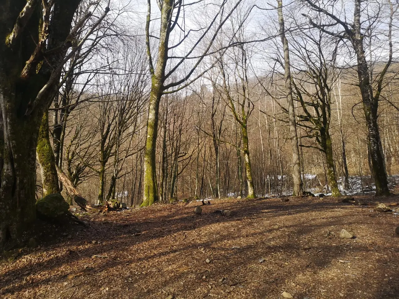 Участок в Красной Поляне под частную резиденц...