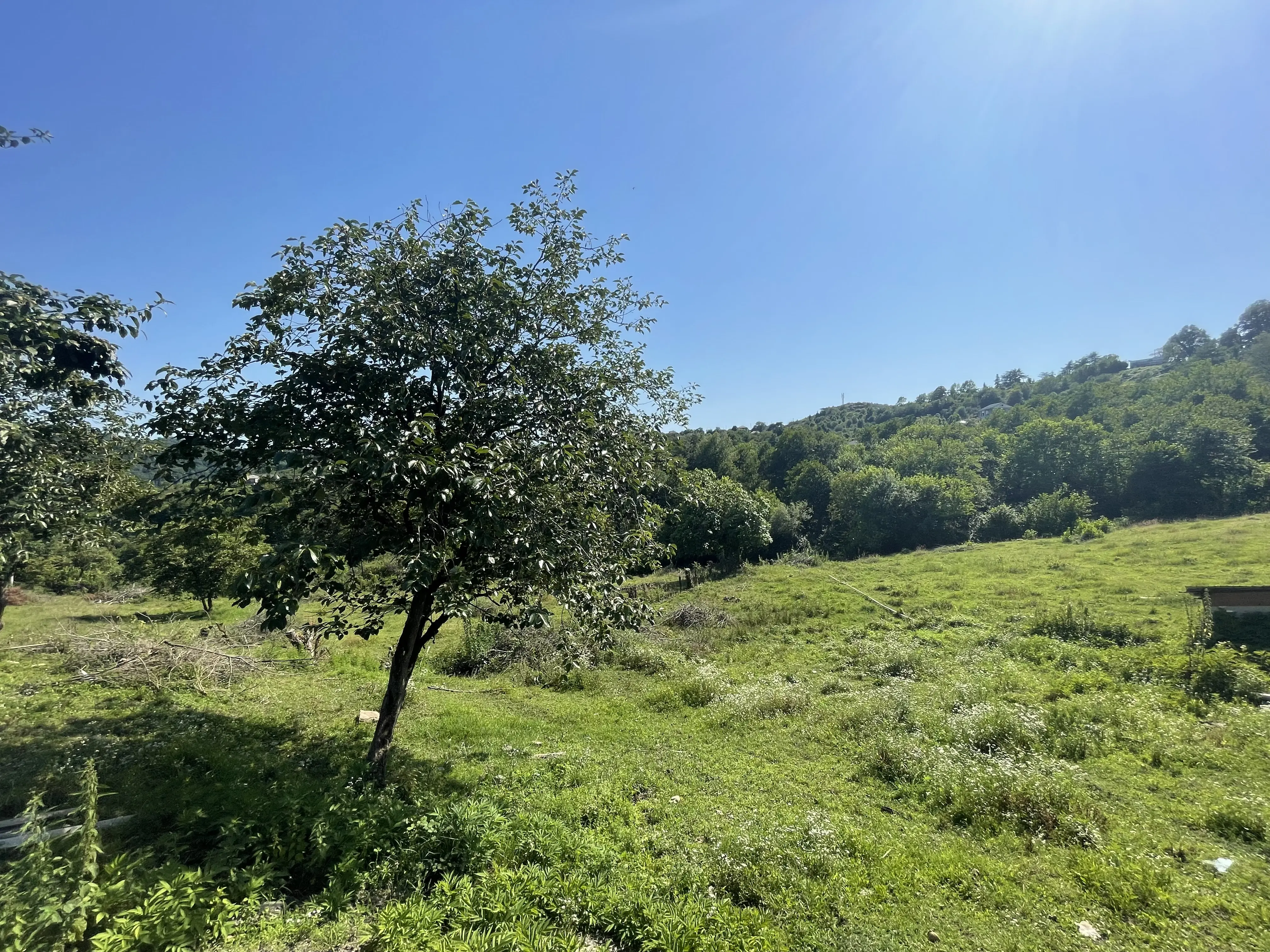 Участок с красивым видом на горы