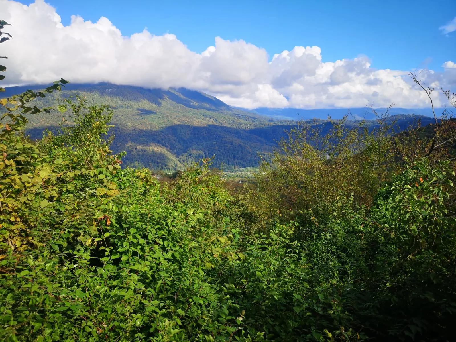 Видовой участок под коттеджную застройку