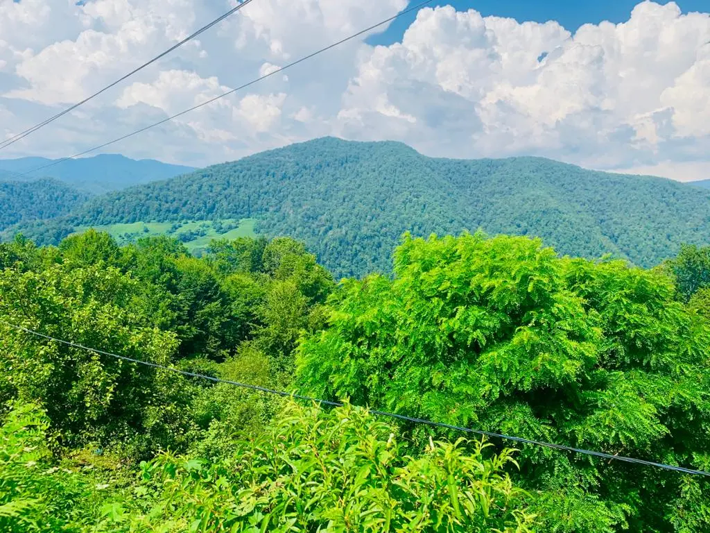 Харциз первый