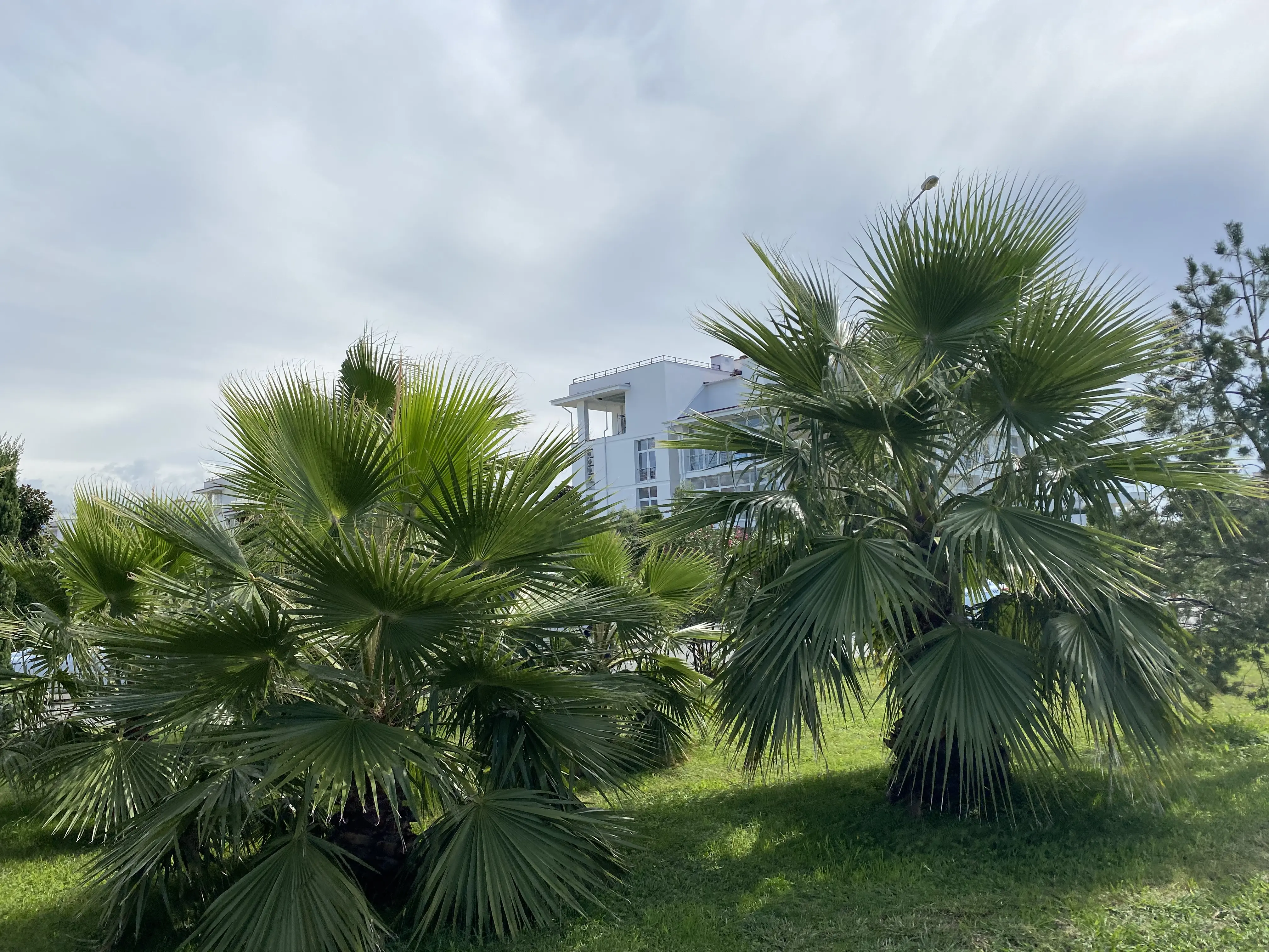 Продается ТРЦ