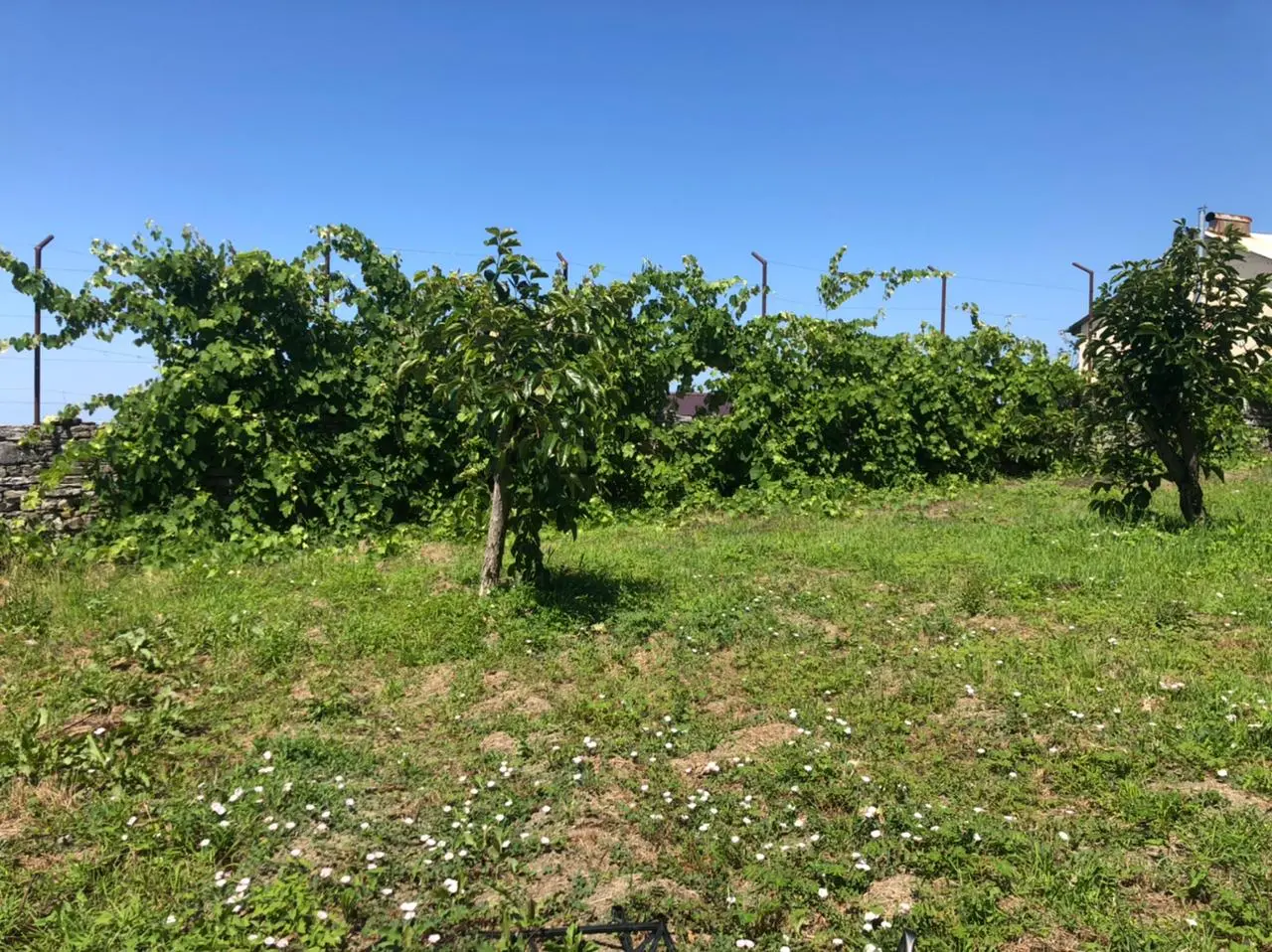 Ровный участок, с прекрасным видом