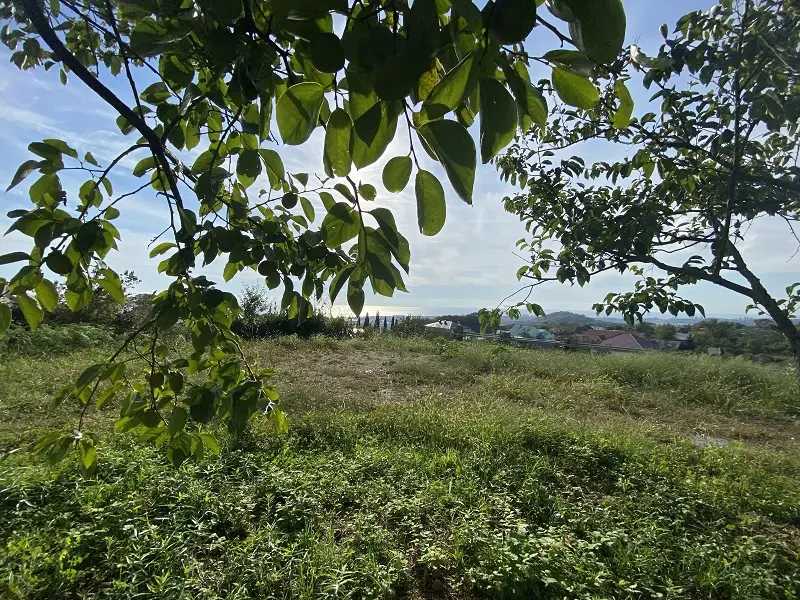 С завораживающим видом