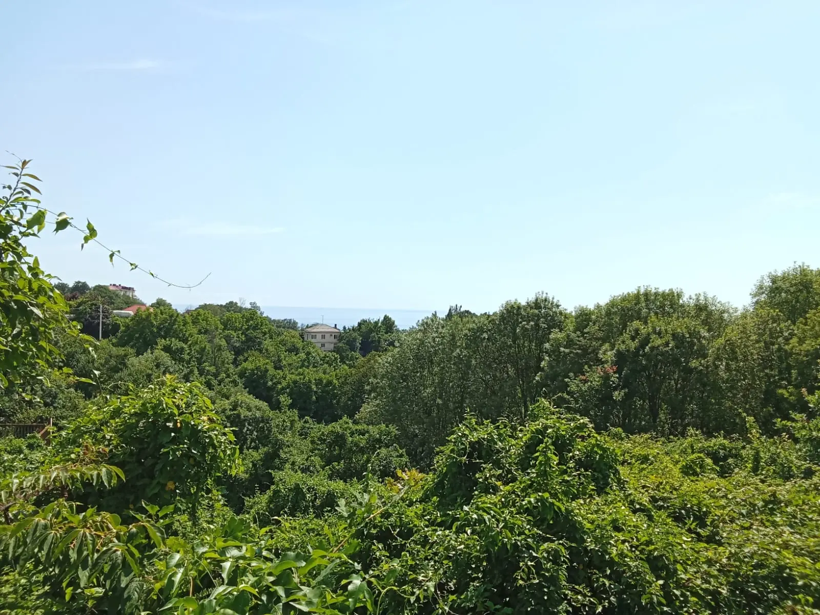 Участок с видом на море.