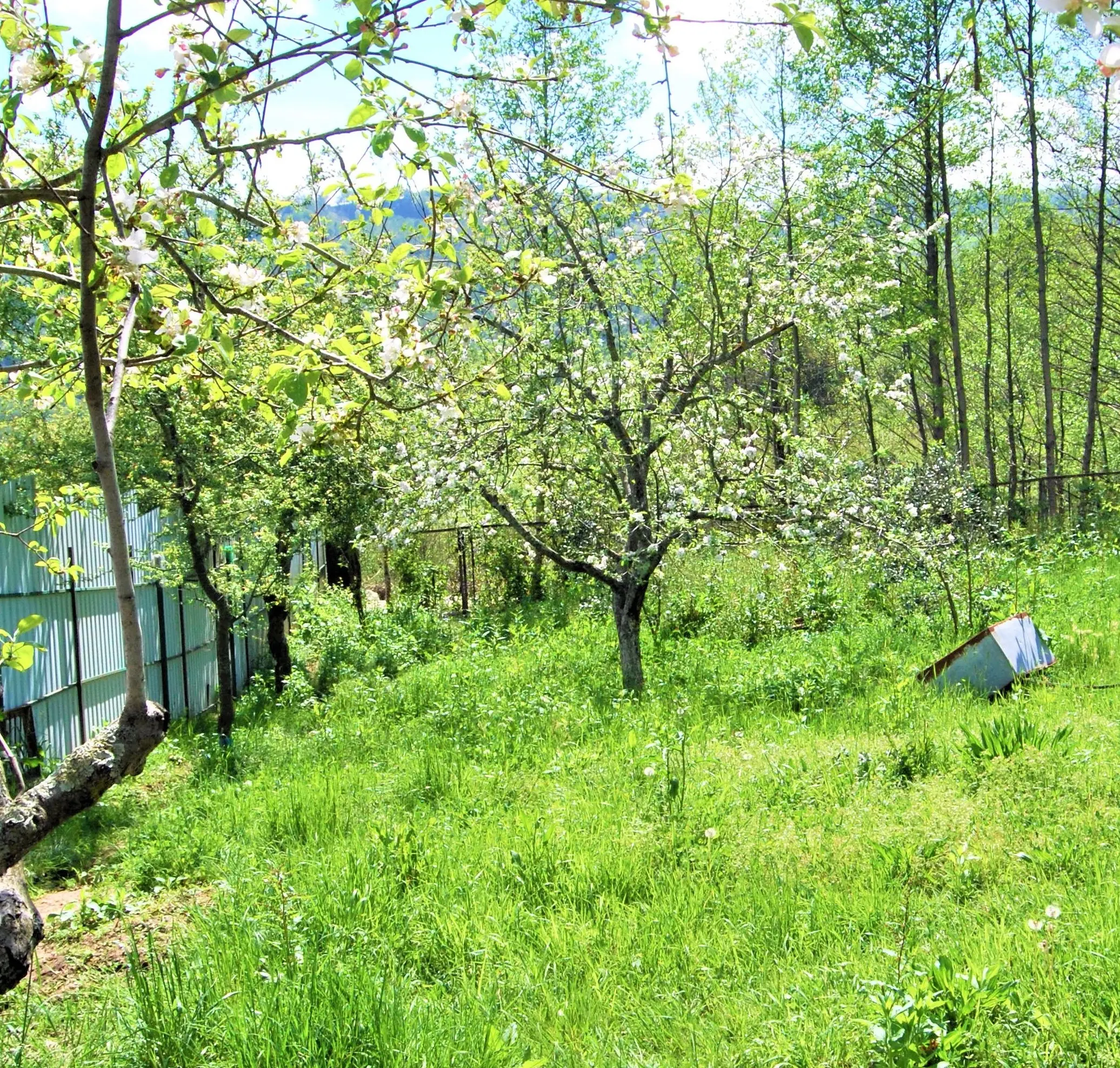 Отличный участок для обустройства родового им...