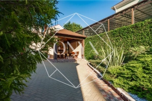 Изображение 8