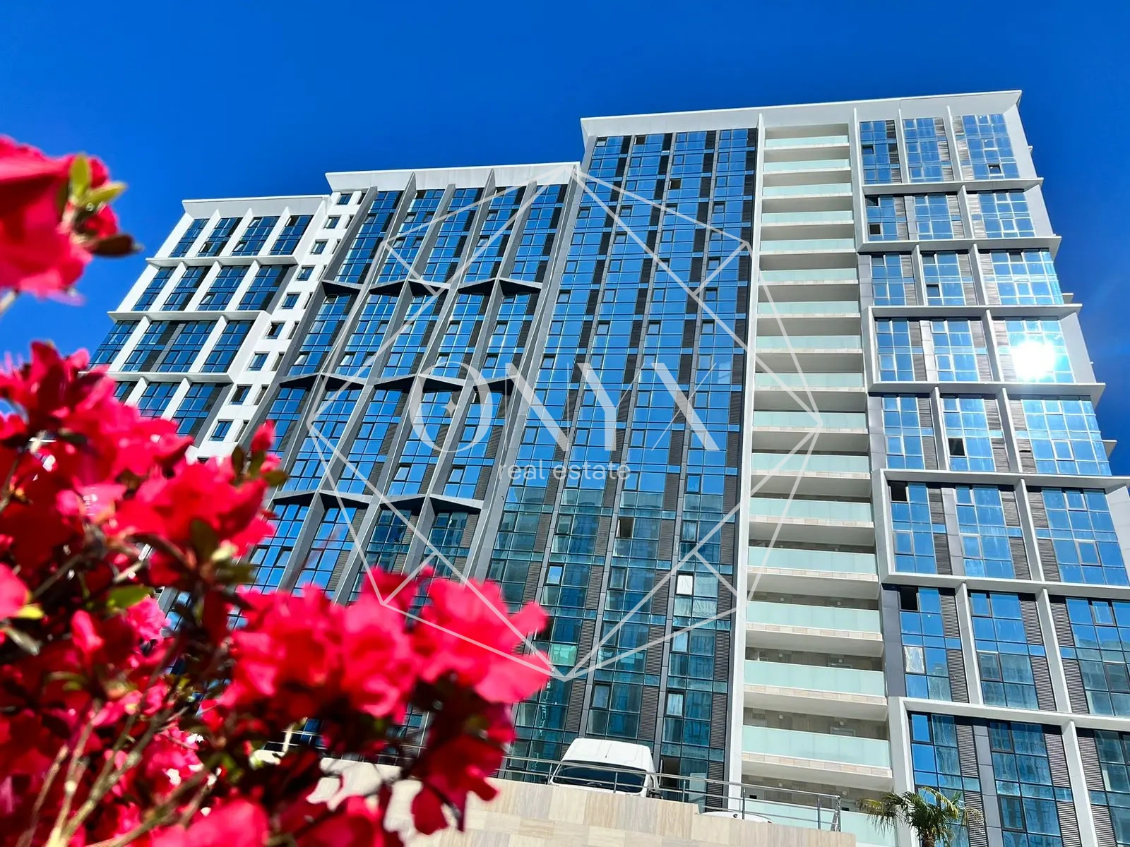 Изображение 16