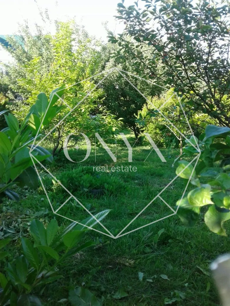 Изображение 12