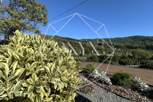 Изображение 12