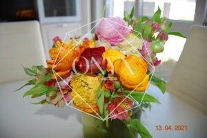 Изображение 15