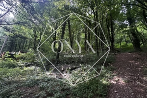 Изображение 17