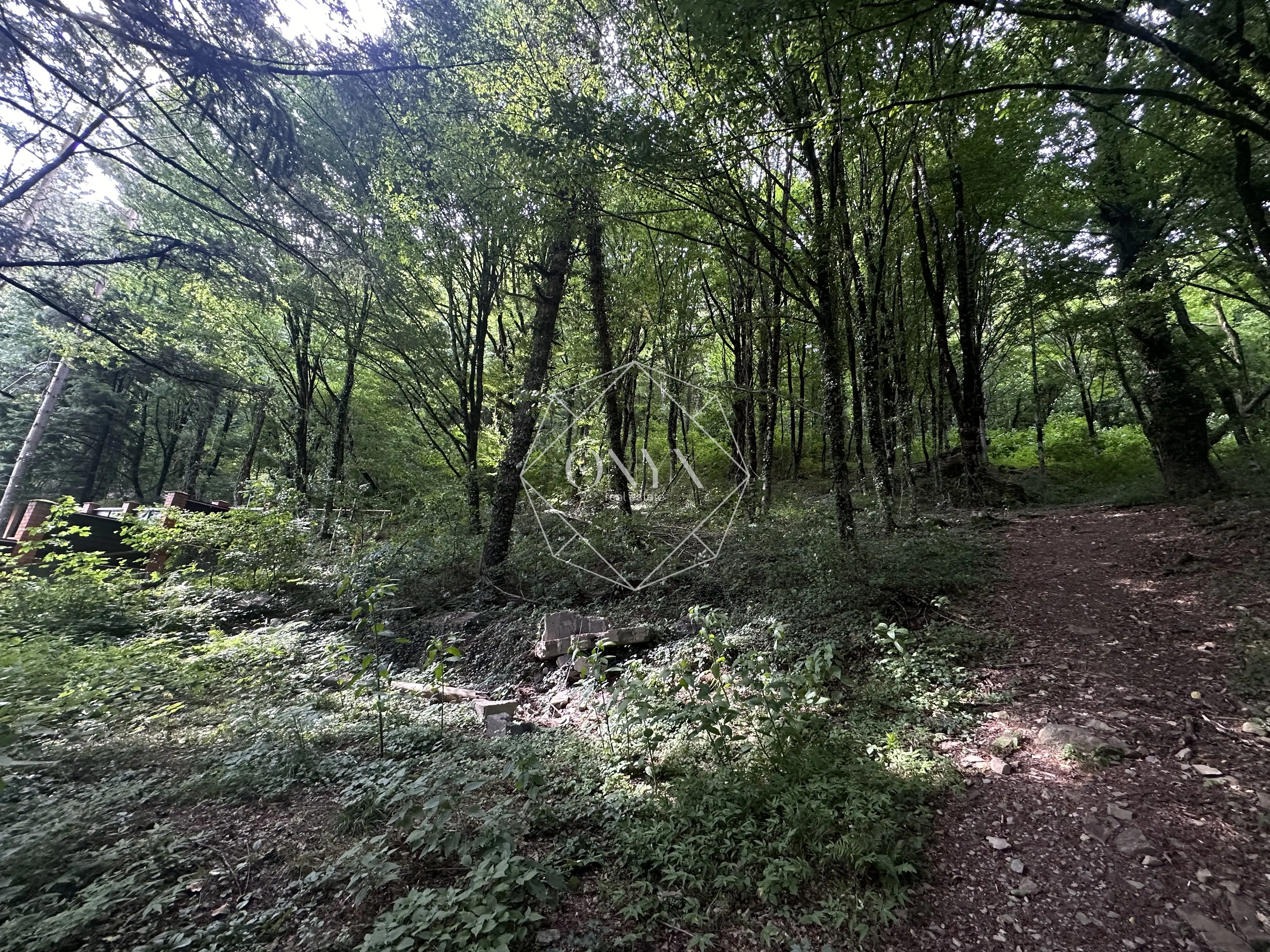 Изображение 17