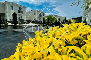 Изображение 8