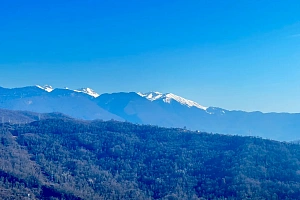 Участок в развивающейся инфраструктуре