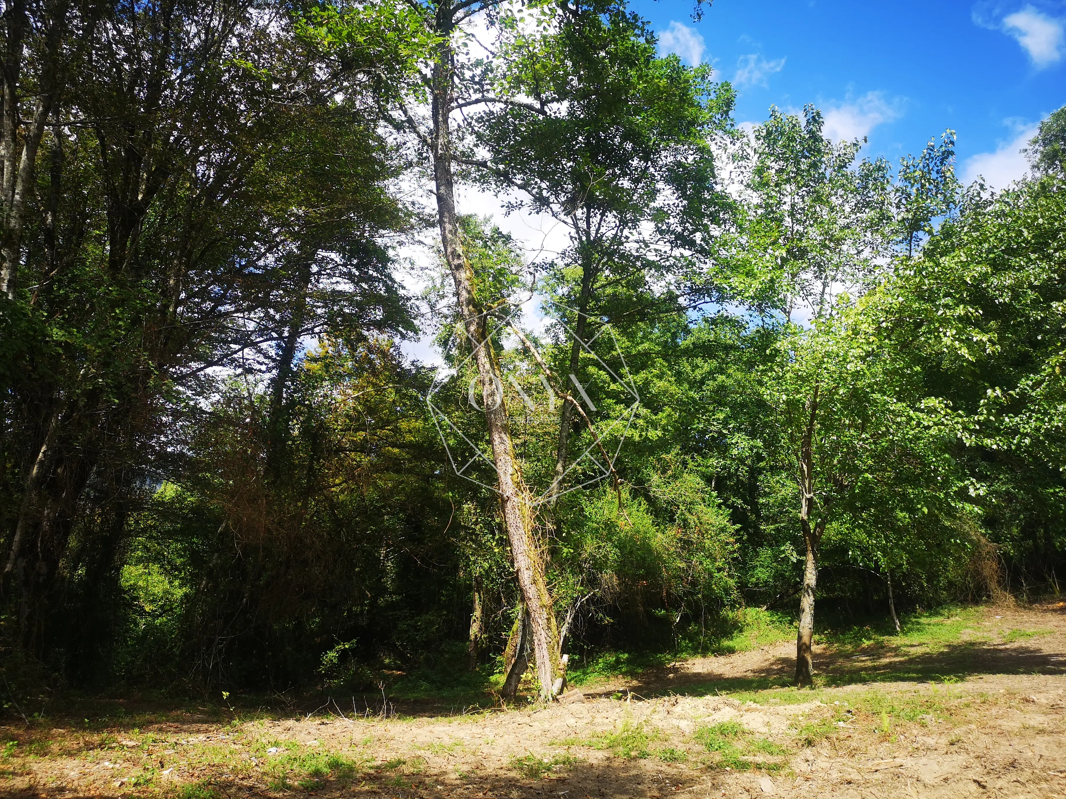 Изображение 7