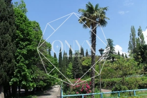 Изображение 16