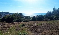 Видовой участок в перспективном районе