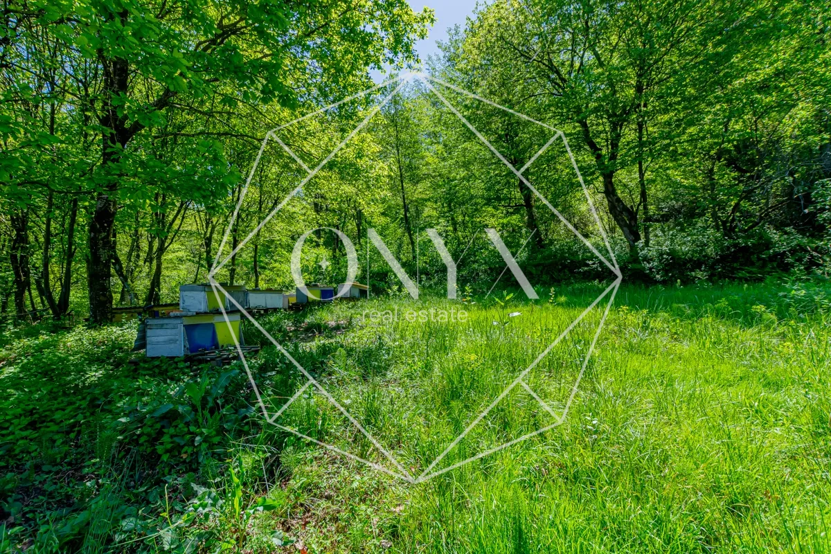 Изображение 13