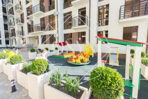 Изображение 12