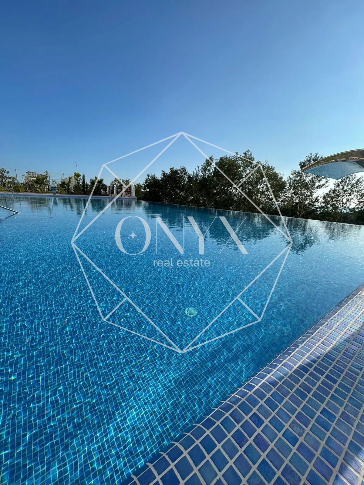 Изображение 12