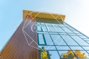 Изображение 21