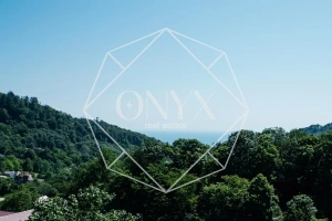 Изображение 12