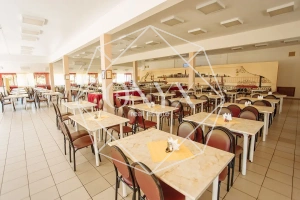 Изображение 11