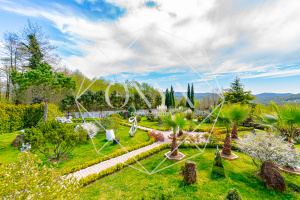 Изображение 26