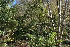 Продам участок в центре Сочи