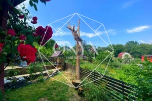 Изображение 11