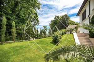 Изображение 19