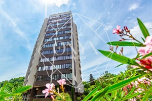 Изображение 23