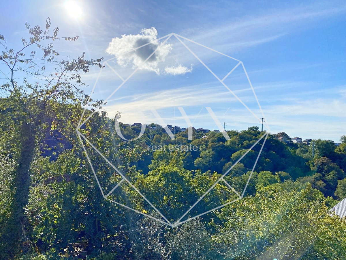 Изображение 11