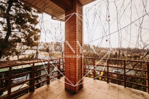 Изображение 17