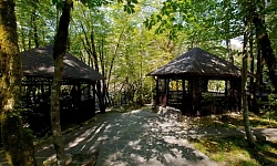 Гостиничный комплекс на берегу горной реки