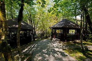 Гостиничный комплекс на берегу горной реки