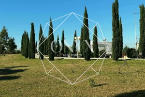 Изображение 12