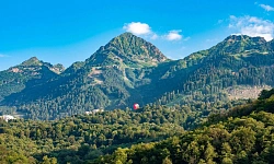 Участок для размещения гостиницы