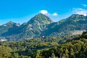 Участок для размещения гостиницы