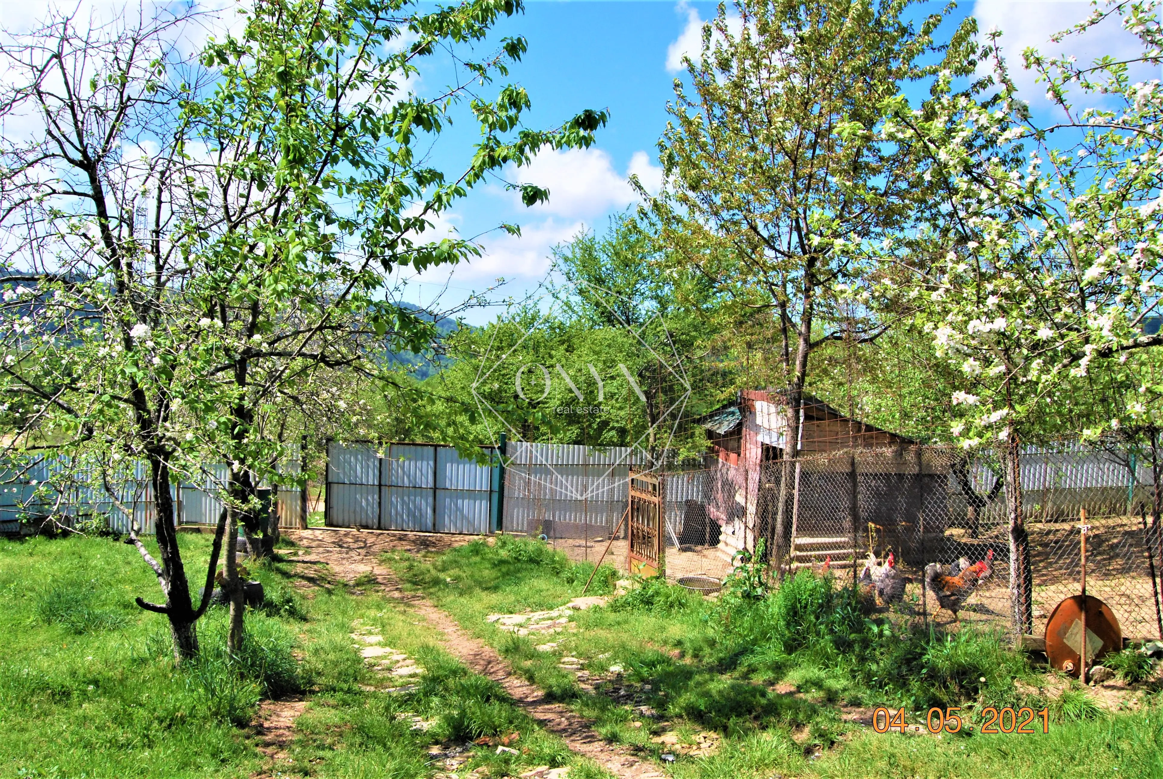 Изображение 6