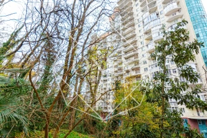 Изображение 26