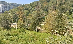 Живописное место, для вашего дома!