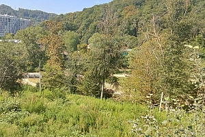 Живописное место, для вашего дома!