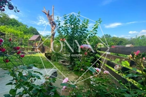 Изображение 12