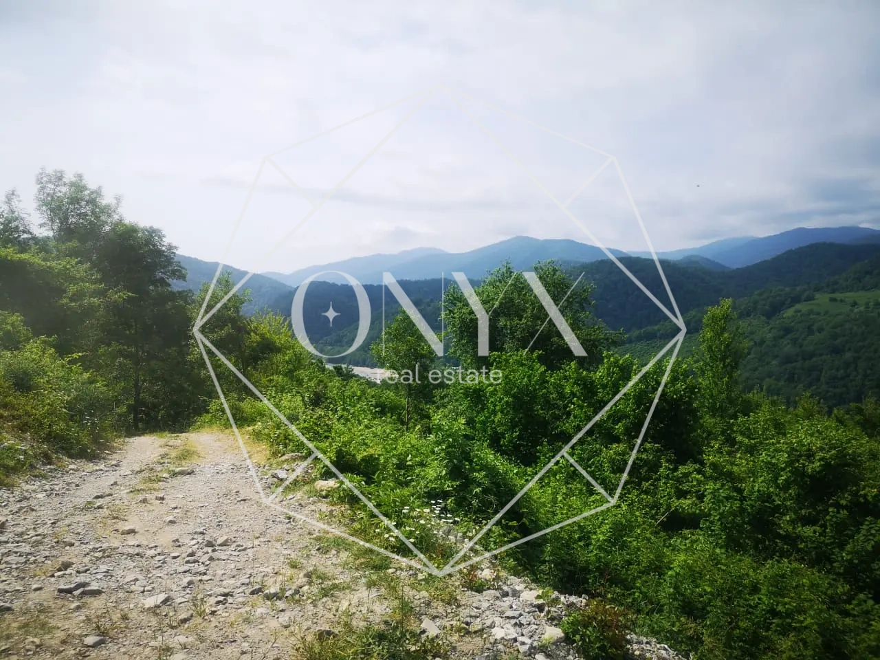 Изображение 31