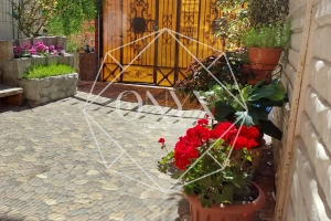 Изображение 19